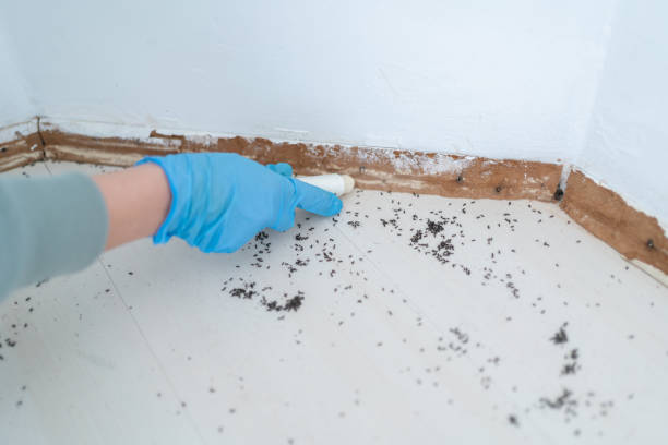 Best Mosquito Control Services  in Roseville, MN